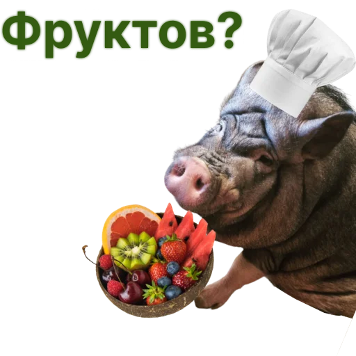 Свинья-Кулинар sticker 🍒