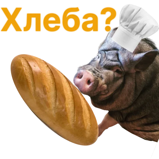Telegram Sticker «Свинья-Кулинар» 🥖