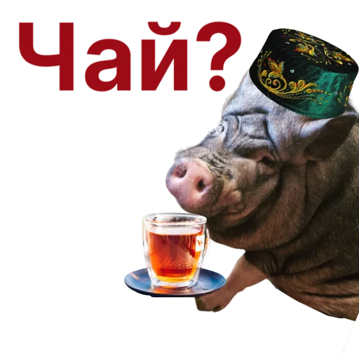 Свинья-Кулинар sticker 🫖