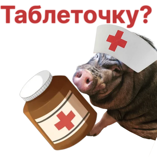 Telegram Sticker «Свинья-Кулинар» 🤧