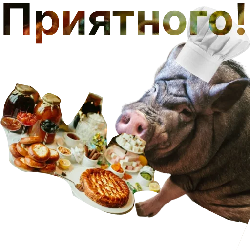 Свинья-Кулинар sticker 🤗