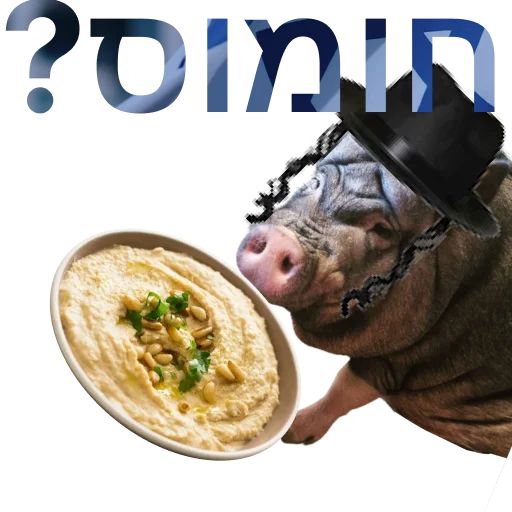 Свинья-Кулинар sticker 🫘