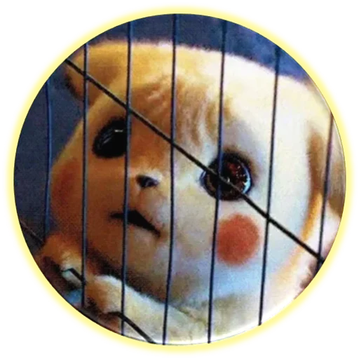 Telegram Sticker «Pikachu» 😨