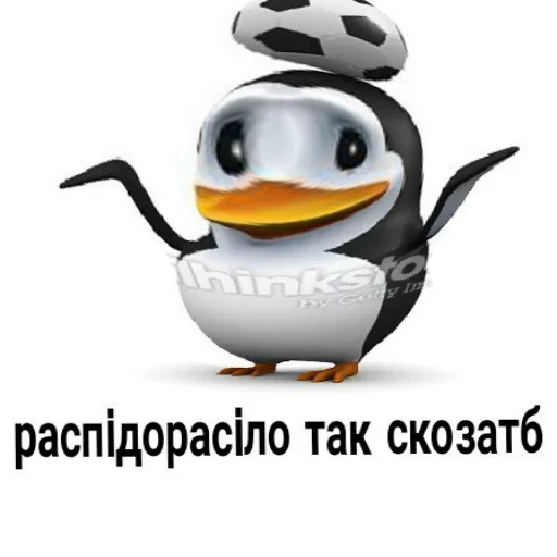 Telegram Sticker «Pingvin Pack Memes» 🏄