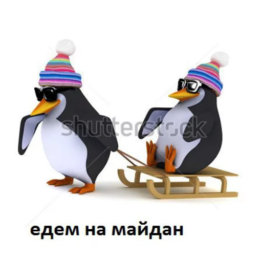 Telegram Sticker «Pingvin Pack Memes» ♥