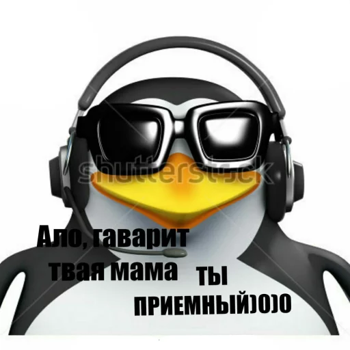 Telegram Sticker «Pingvin Pack Memes» 🍺