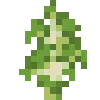 Telegram emojisi «Plant Minecraft» 🎋