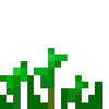 Емодзі Plant Minecraft 🎋