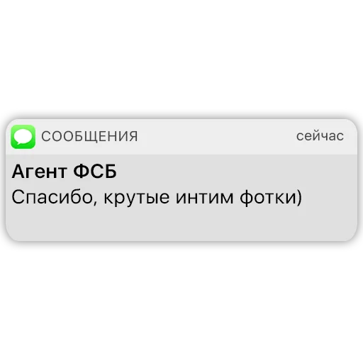 Telegram stiker «Карманный ФСБшник» 📷
