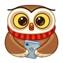Polar Owl  emoji 😐