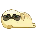 Polar Pup emoji 😎