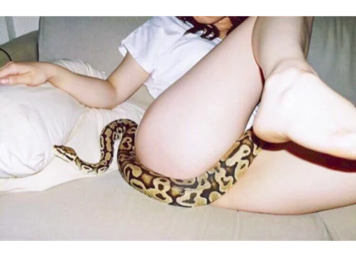 Стикер Porn 🐍