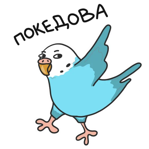 Telegram Sticker «Попуг» 👋