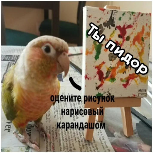 Емодзі Флекс папуги 