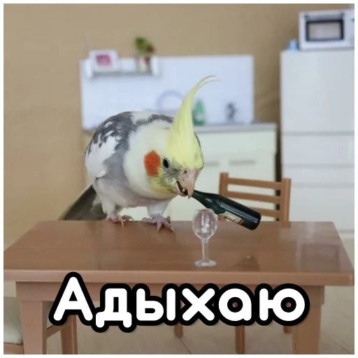 Эмодзи Флекс папуги 