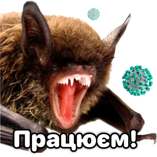 Telegram Sticker «Поторочений кажан» 👨‍🏭