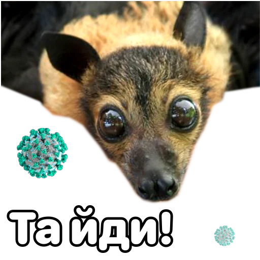 Telegram Sticker «Поторочений кажан» 🧐