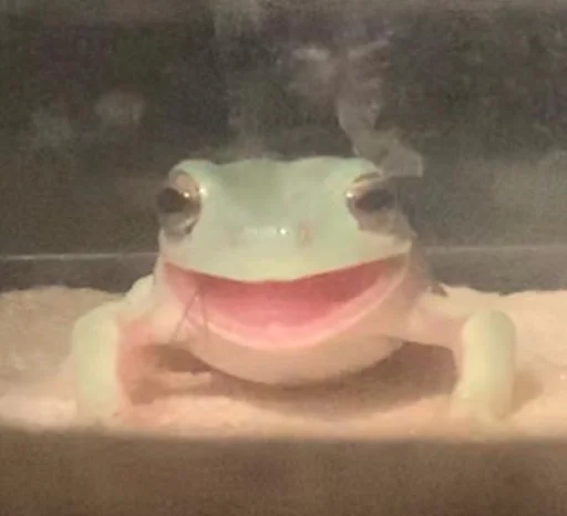 Frogs and toads emoji ?