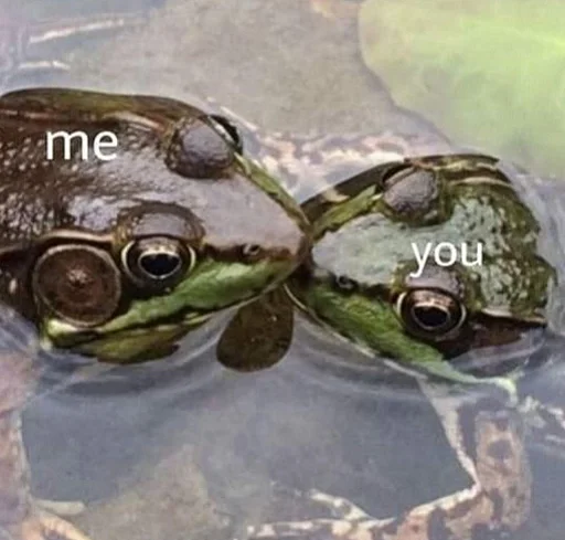 Стикер Telegram «Frogs and toads» ❤️