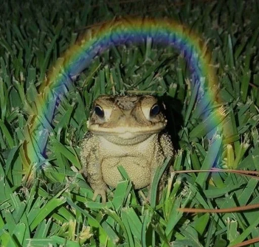 Стикер Telegram «Frogs and toads» 🌈