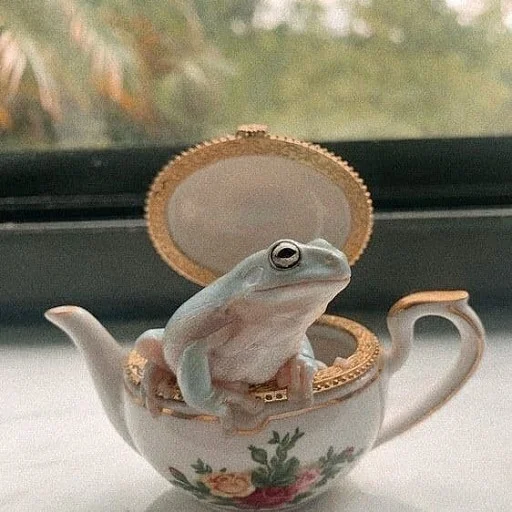 Стікер Frogs and toads 🍵