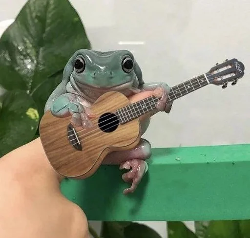 Стикер Frogs and toads 🎼
