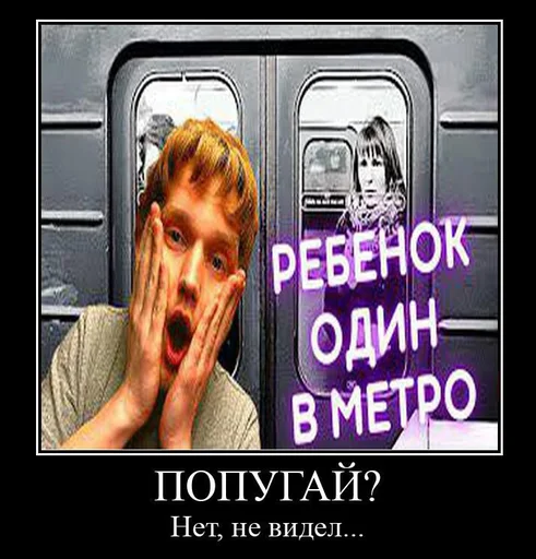 Telegram Sticker «Pro metro mems» 🦜
