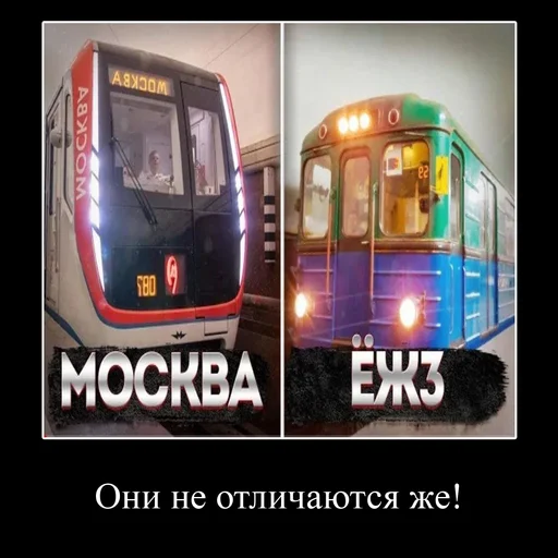 Pro metro mems sticker 😲