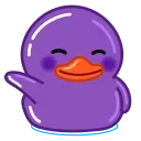 Purple Duck  stiker 👋