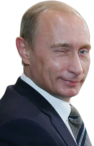Стикер Telegram «Vladimir Putin» 👍
