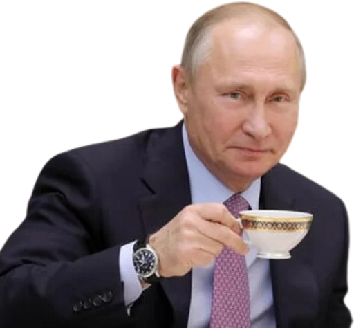 Стикер Telegram «Vladimir Putin» 🥴