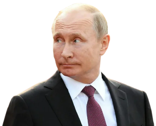 Telegram Sticker «Vladimir Putin» 🤦‍♂