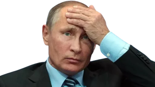 Стикер Telegram «Vladimir Putin» 😎
