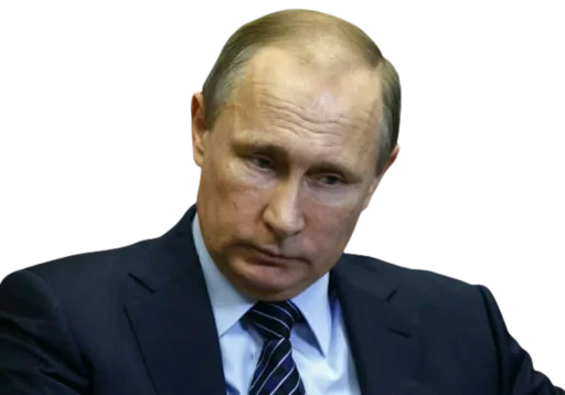 Стікер Vladimir Putin 😔
