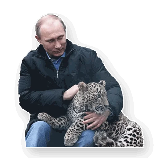 Стикер Путин 🐱
