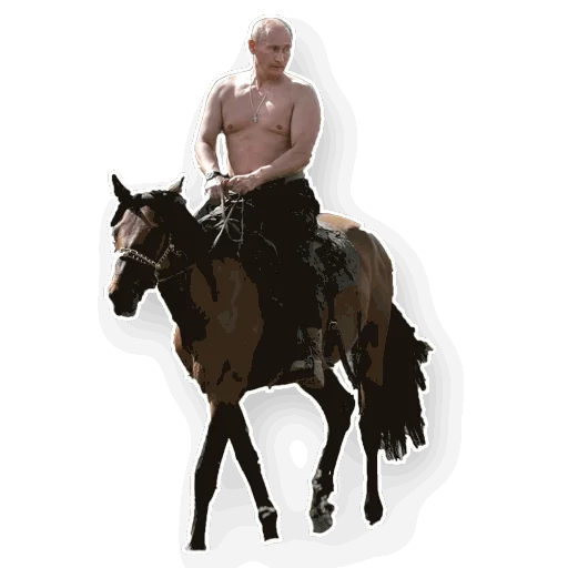 Стикер Путин 🐴