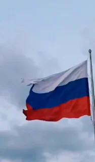 Стікер Putin Russia 👍