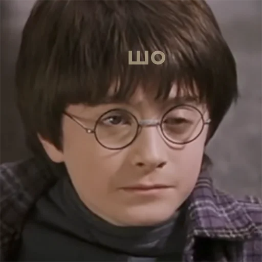 Гарри Поттер sticker 😐