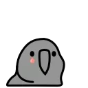 parrot 🦜 emoji 😢