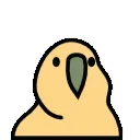 parrot 🦜 emoji 🤪