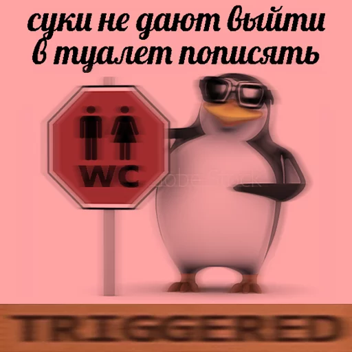 Стикер Telegram «pengven» 