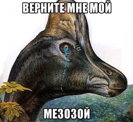 Telegram stiker «Memes | Мемы» 🧂