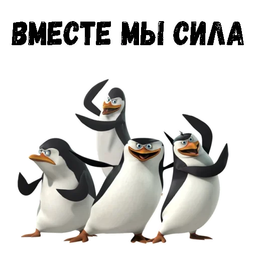Пингвин из Мадагаскара emoji 😗