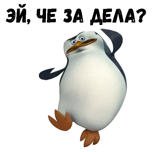Пингвин из Мадагаскара emoji 😚