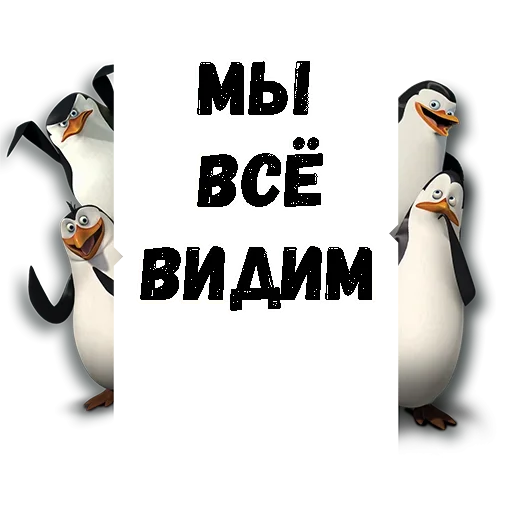 Пингвин из Мадагаскара sticker 😉