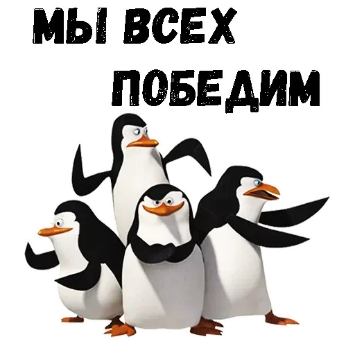 Стікер Telegram «Пингвин из Мадагаскара» 😜