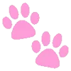 pink random emoji 🐾