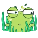 Pip frog  emoji 👀