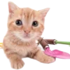 Емодзі телеграм Kitties