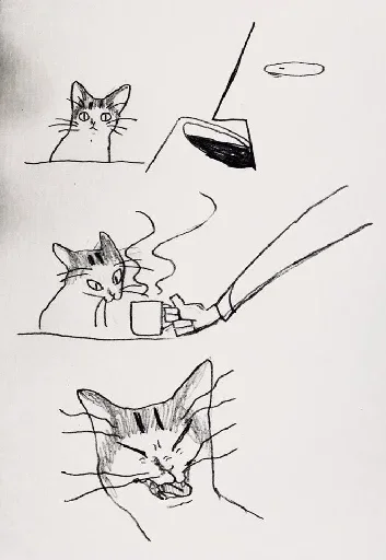 Telegram Sticker «Почему я кот» 😮
